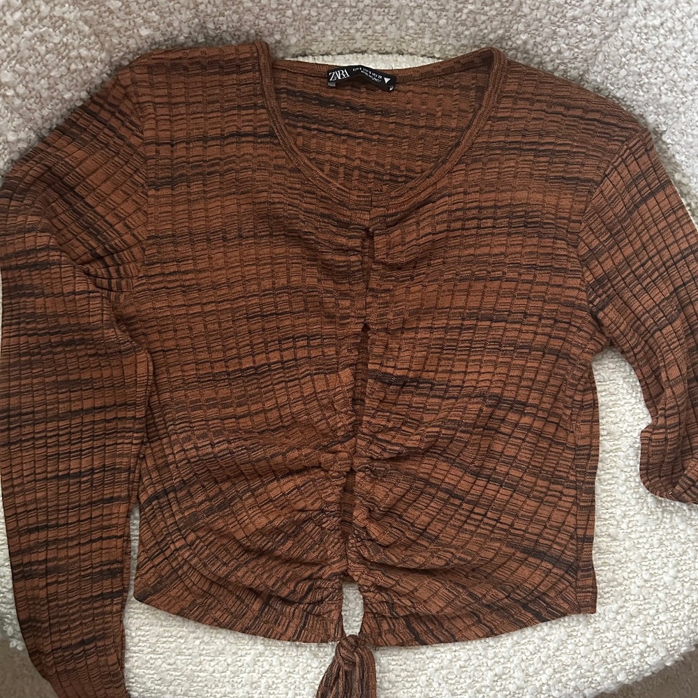 Long Sleeve Zara crop top